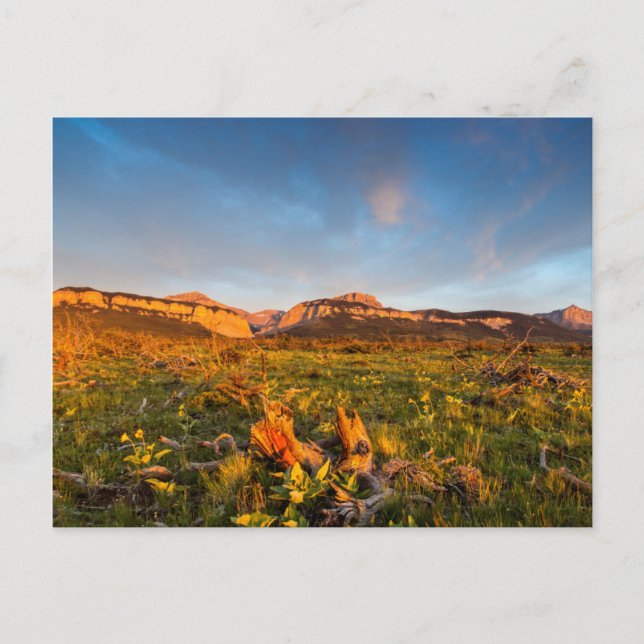 Postal Luces del amanecer Blackleaf Canyon 2 (Anverso)
