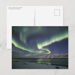 Postal Luces del Norte Noruega