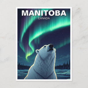 Postal Luces nórdicas del oso polar Manitoba Canadá