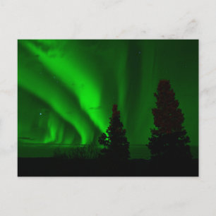 Postal Luces verdes del norte