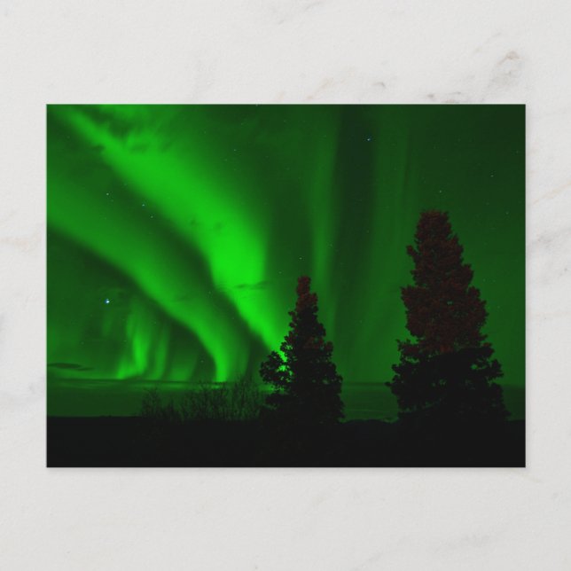 Postal Luces verdes del norte (Anverso)