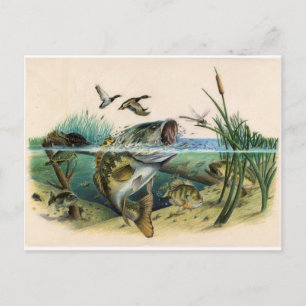 Postal Luchar contra el trasero