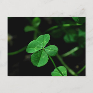 Postal Lucky
