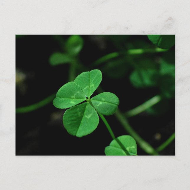 Postal Lucky (Anverso)