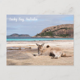 Postal Lucky Bay Beach Kangaroo, Australia Postcard