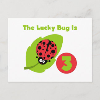 Postal Lucky Bug 3 Birthday T camisetas y regalos