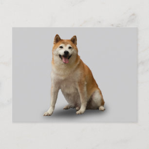 POSTAL LUCKY DOG