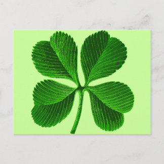 Postal Lucky Four Leaf Clover