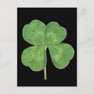 Postal Lucky Four Leaf Clover Shamrock