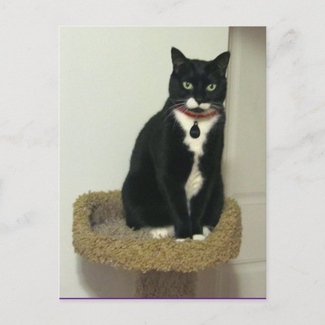 Postal Lucy seria (Anverso)