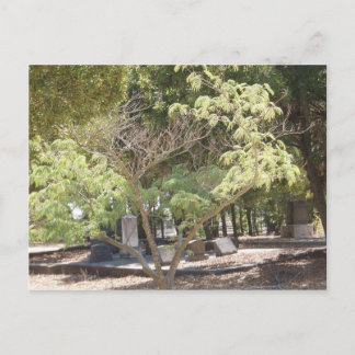 Postal Lugar de descanso