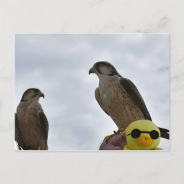 Postal Lugar Equivocado Momento Equivocado 