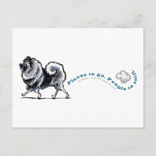 Postal Lugares de Keeshond a dónde ir
