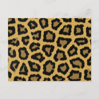 Postal Lugares leopardos africanos