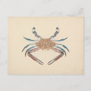 Postal Luigi Balugani - Portunua Pelagicus - Cangrejo Azu