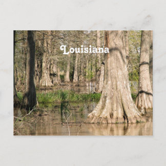 Postal Luisiana Swamp