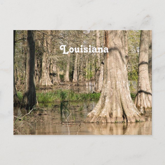 Postal Luisiana Swamp (Anverso)
