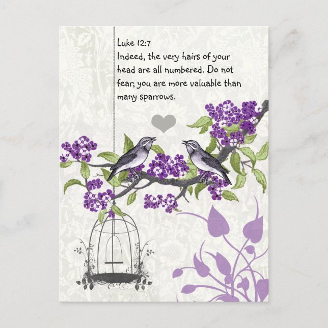 Postal Luke 12:7 eres más valioso que muchos gorriones (Anverso)