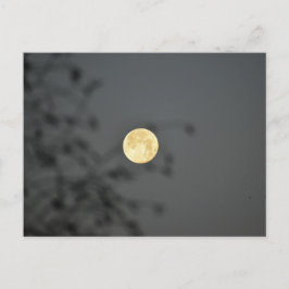 Postal Luna