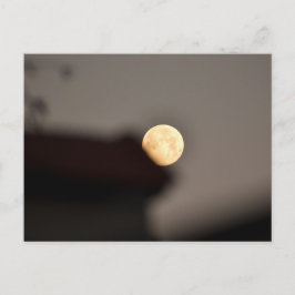 Postal Luna