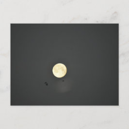Postal Luna