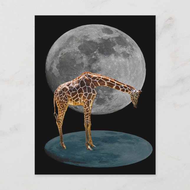 POSTAL LUNA COMPLETA GIRAFFE (Anverso)