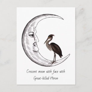 Postal Luna creciente con rostro con Garza de pico grande