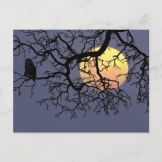 Postal Luna de sangre y lechuza nocturna en silueta de ár