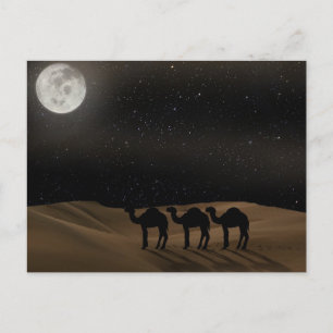 Postal Luna del Desierto