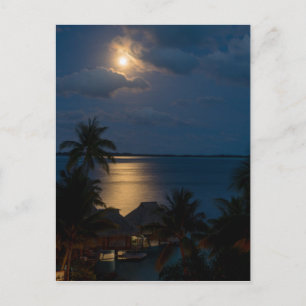 Postal Luna en bora