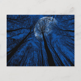 Postal Luna en el cielo nocturno