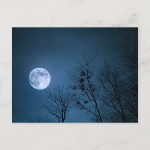 Postal Luna llena