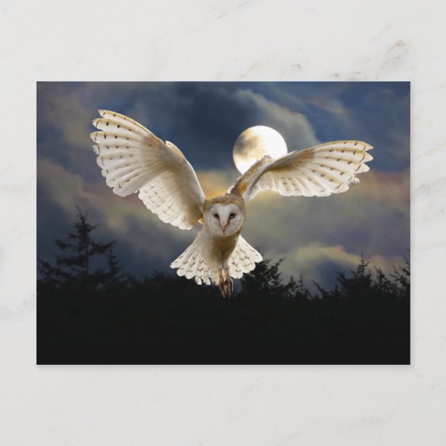 Postal "Luna llena" (Anverso)