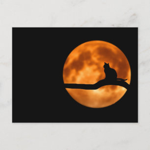 Postal Luna llena de Werecat
