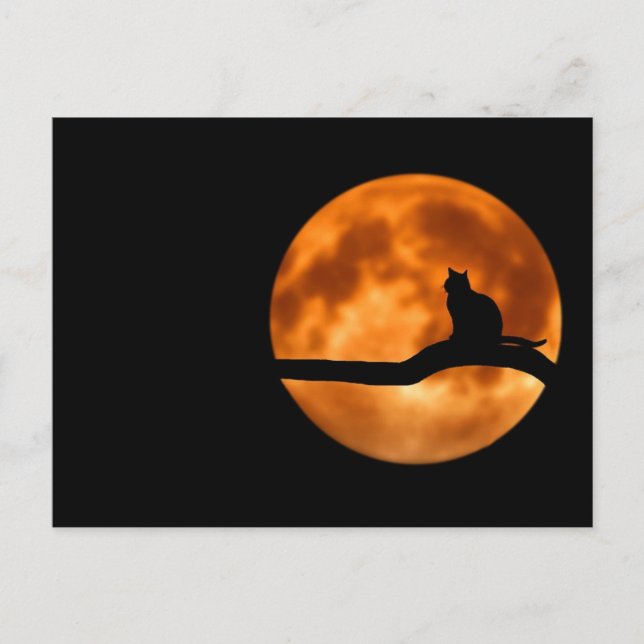 Postal Luna llena de Werecat (Anverso)