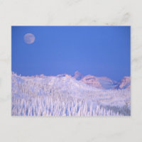 Luna llena elevándose sobre el Parque Nacional Gla