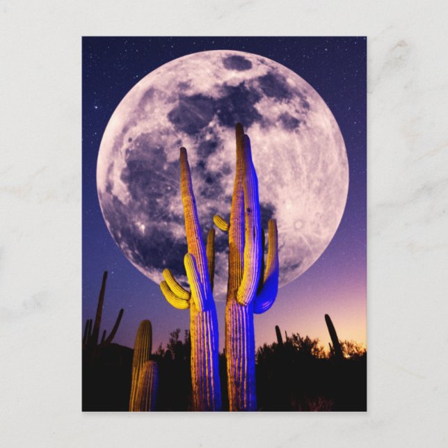 Postal Luna Llena Sobre Cactus Saguaro (Anverso)