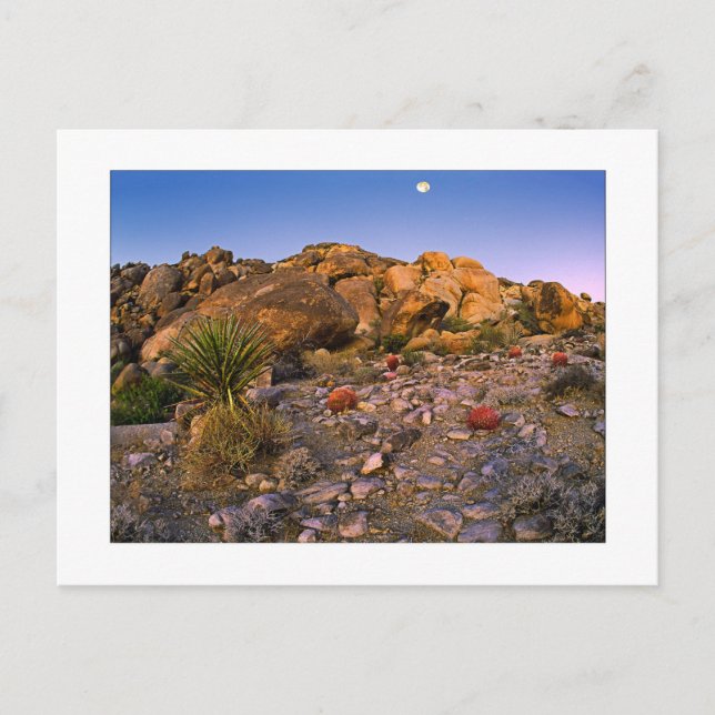 Postal "Luna Llena Sobre Ring Of Fire" (Anverso)