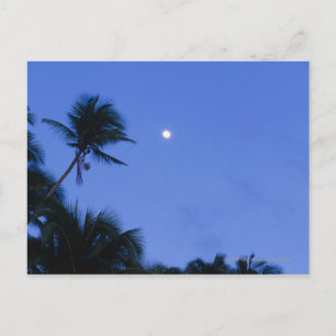 Postal Luna luminosa, silueta de cocoteros