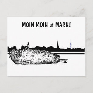 POSTAL ¡LUNA LUNA Y MARN!