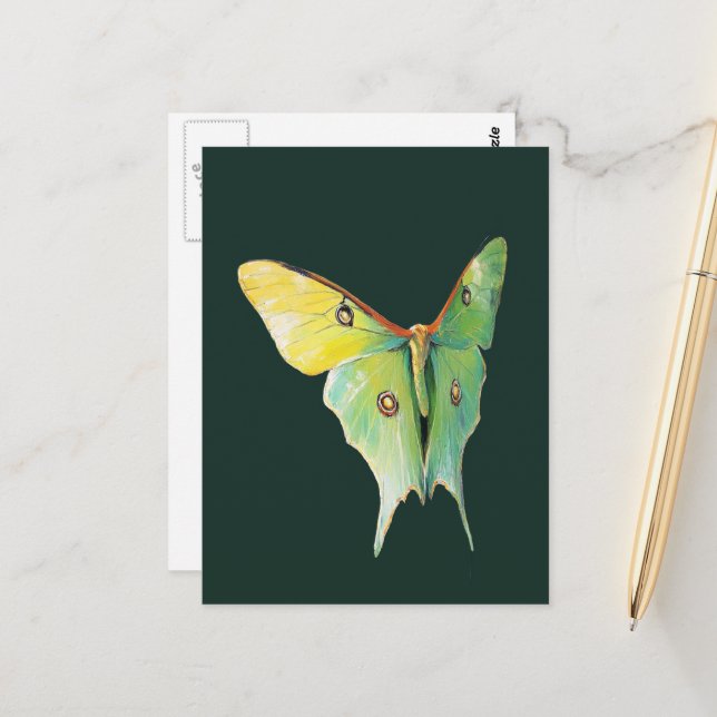 Postal Luna Moth Painting on Dark Background (Anverso/Reverso In Situ)