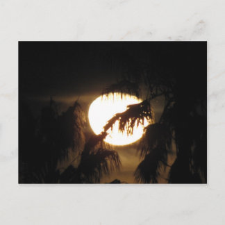 Postal luna nocturna