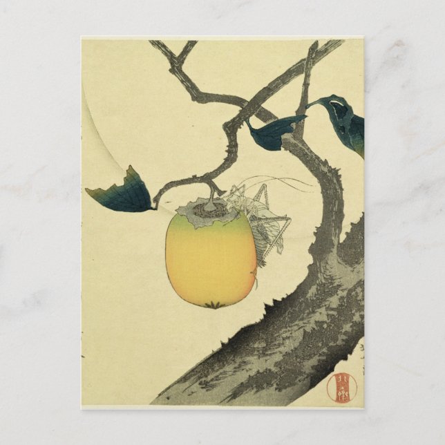 Postal Luna, Persimmon y Grasshopper, 1807 (Anverso)