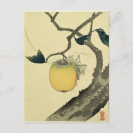 Postal Luna, Persimmon y Grasshopper, 1807
