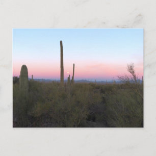 Postal Luna rosa sobre Saguaro al amanecer
