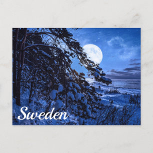 Postal Luna sobre un árbol de abetos nevado y la costa de
