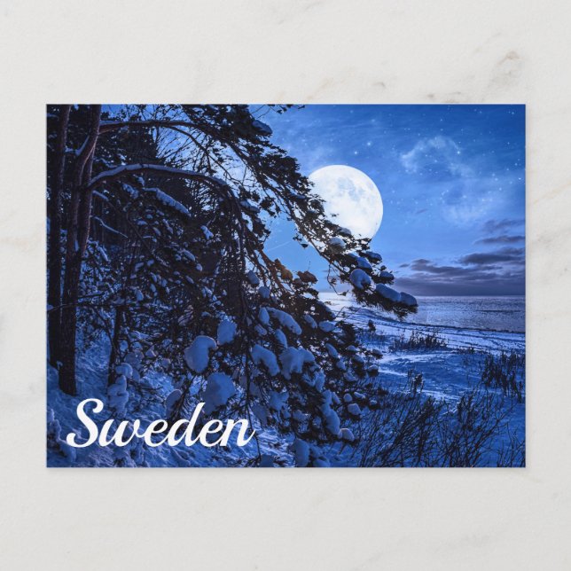 Postal Luna sobre un árbol de abetos nevado y la costa de (Anverso)
