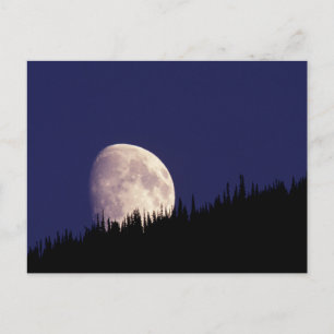 Postal Luna y bosque Parque Nacional Glacier Montana