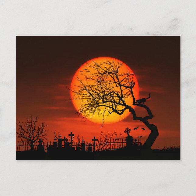 Postal Luna y Gato completos en el jardín de infancia (Anverso)