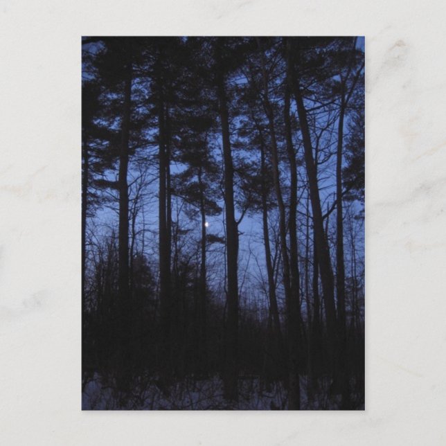 Postal lunar (Anverso)